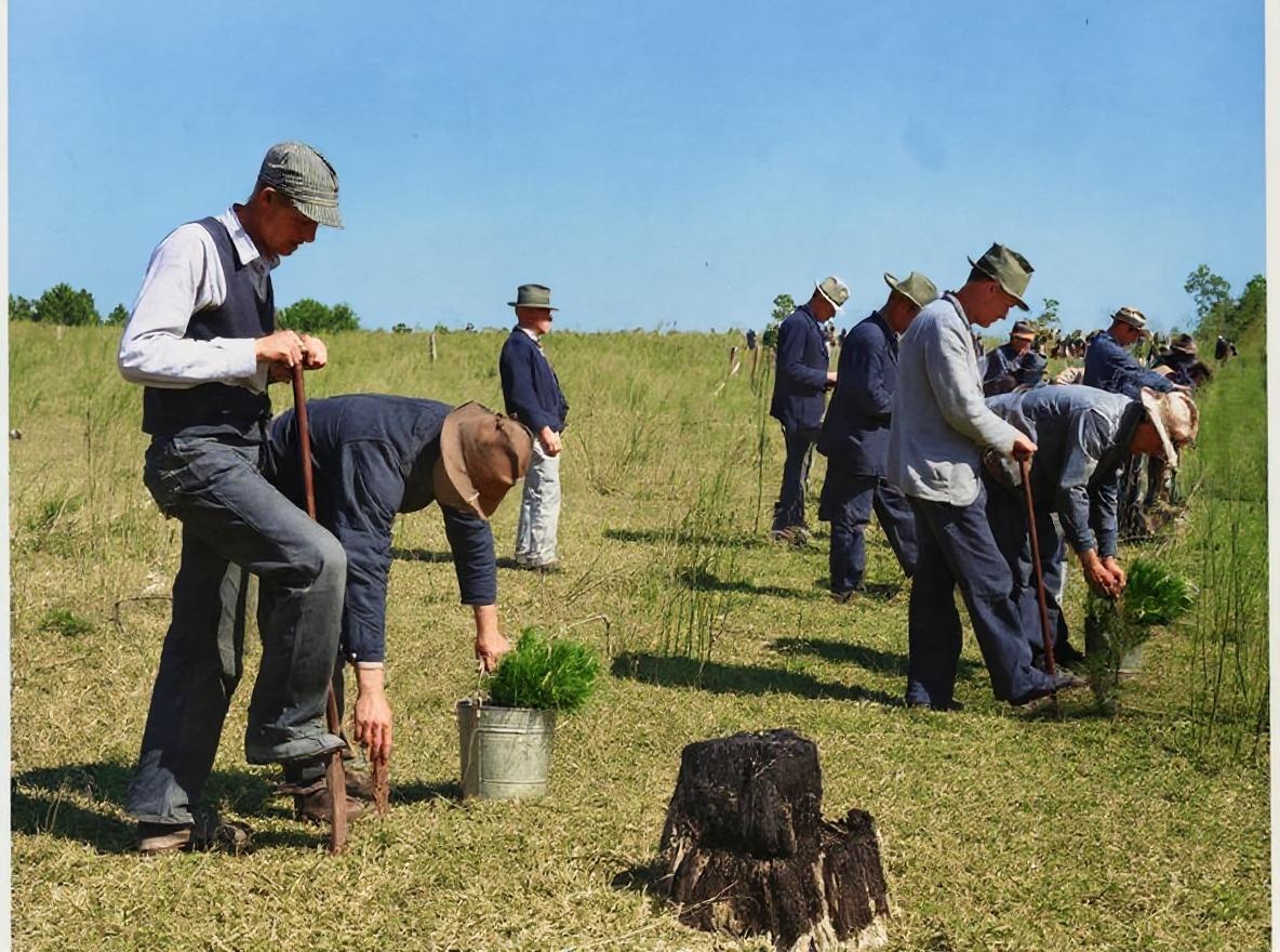 Farming scene after