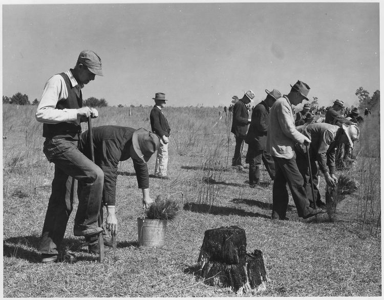 Farming scene before